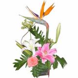 ˷ʻٵ